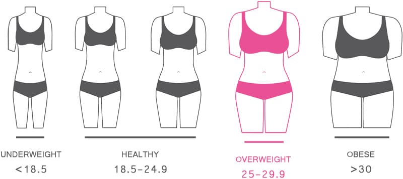 Female body visualizer metric
